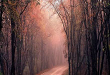 韦世豪给患重症小球迷林子金赠送签名足球，并与他保持联系.