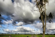 韦世豪给患重症小球迷林子金赠送签名足球，并与他保持联系.