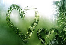 韦世豪给患重症小球迷林子金赠送签名足球，并与他保持联系.