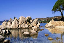 [图]萨内破门格纳布里建功 拜仁客场2-1不来梅.